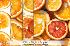 Citrus digital paper Product Image 1