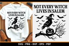 Not every witch lives in Salem, Halloween SVG, Crow, Witch Product Image 1