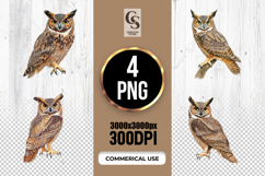 Watercolor Owl Clipart Sublimation PNG Product Image 1