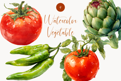 Watercolor Vegetable Clipart Set Tomato, Artichoke, Pepper Product Image 1