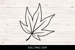 Hand Drawn Fall Leaf SVG Product Image 1