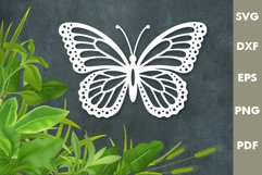 Butterfly papercut Design| Laser cut, Cricut, Silhouette Product Image 1