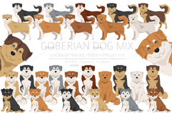 Goberian dog mix Product Image 1