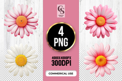 Pink Daisy Flowers Clipart Sublimation PNG Product Image 1