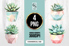 Geometric Succulent Plant Clipart Sublimation PNG Product Image 1