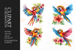 Tropical parrots and birds with flowers watercolor clipart Product Image 1