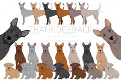 Thai Ridgeback clipart Product Image 1