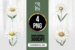 Watercolor Daisy Flower Clipart Sublimation PNG Product Image 1