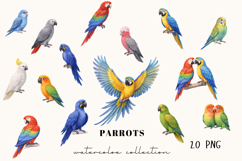 Colorful Parrots Clipart Bundle 20 Product Image 1