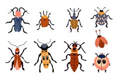 Cute Beetles SVG Product Image 2