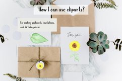 Watercolor sunflower clipart Product Image 4