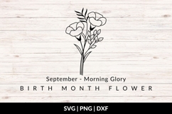 September Birth Flower Bouquet SVG - Morning Glory Product Image 1