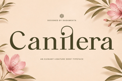Canilera - Luxury Ligature Serif Font Product Image 1