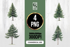 Watercolor Pine Tree Clipart Sublimation PNG Product Image 1