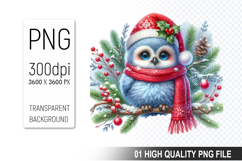 Christmas Owl Clipart PNG, Festive Owl illustration Product Image 1