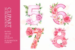 Floral numbers clipart sublimation Product Image 1