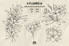 Tropical plumeria flowers line art set Svg Png Eps Product Image 1