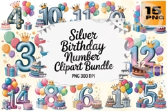 Shiny Celebrations Silver Birthday Number PNG Pack Product Image 1