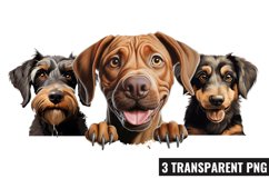 Peeking Dog Collection Clipart, Dog Collection Sublimation Product Image 1