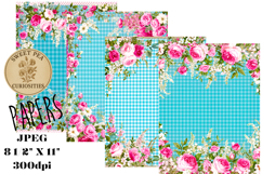 Shabby Chic, Roses, Papers, Junk Journal Product Image 1