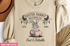 Easter Rabbit PNG, Vintage Easter Rabbit Bunny PNG Product Image 2