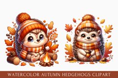 watercolor autumn hedgehog clipart, autumn hedgehog bundle Product Image 3