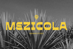 Mezicola Display Font Product Image 1