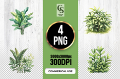 Watercolor Tropical Plant Bush Clipart PNG Product Image 1