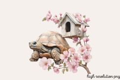 Spring Turtles Garden Clipart PNG Product Image 1