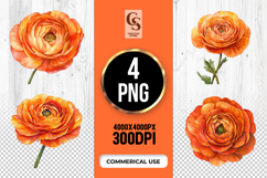 Orange Ranunculus Flower Clipart Sublimation PNG Product Image 1