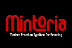 Mintoria is a modern sans serif font Product Image 1