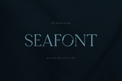 Seafont Elegant Branding Serif Font Product Image 1