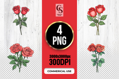 Red Rose Bouquet Botanical Illustration Clipart PNG Product Image 1