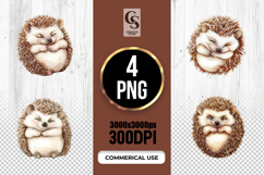 Cute Hedgehog Watercolor Clipart Sublimation PNG Product Image 1