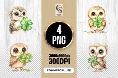 Watercolor Owl Clover Clipart Sublimation PNG Product Image 1