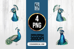 Peacock Watercolor Illustration Clipart PNG Product Image 1