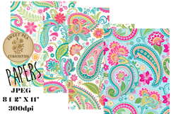 Shabby Chic, Paisley, Papers, Junk Journal Product Image 1