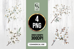 White Cherry Blossom Branch Clipart Sublimation PNG Product Image 1