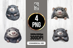 Cute Mole Clipart Sublimation PNG Product Image 1