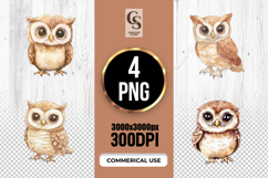 Cute Brown Owl Watercolor Clipart Sublimation PNG Product Image 1