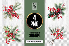 Red Berry Pine Branch Watercolor Clipart PNG Product Image 1