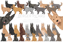 Berger Picard clipart Product Image 1