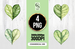 Watercolor Heart Clover Leaf Clipart Sublimation PNG Product Image 1