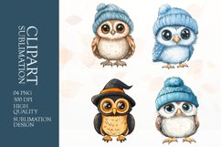 Watercolor owl clipart sublimation png Product Image 1