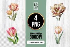 Watercolor Tulip Flower Illustration Clipart Sublimation PNG Product Image 1