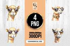Watercolor Camel with Sunglasses Clipart PNG Product Image 1