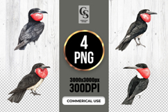 Watercolor Frigatebird Clipart Sublimation PNG Product Image 1