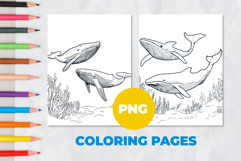Whale Coloring Pages | Coloring book Product Image 1