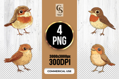 Cute Baby Robin Bird Clipart Sublimation PNG Product Image 1