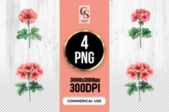 Watercolor Geranium Flower Clipart Sublimation PNG Product Image 1